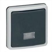 Механизм переключателя с подсветкой IP66 Legrand Plexo без лампы